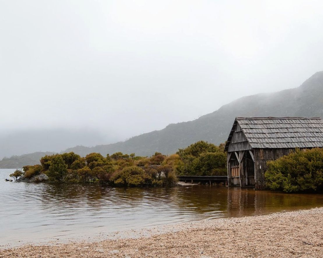 A lakeside cabin nestled among pines